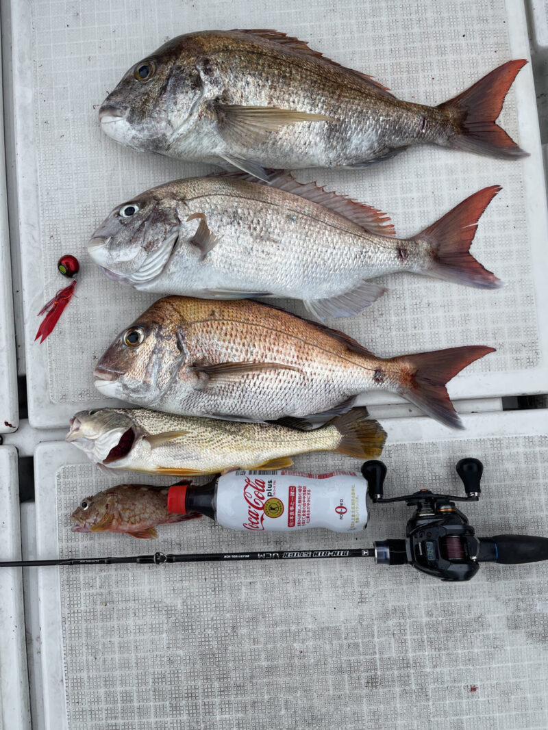 鯛ラバー タイラバー 遊漁船 瀬戸内 下津井 真鯛 鯛ラバ タイラバ 船