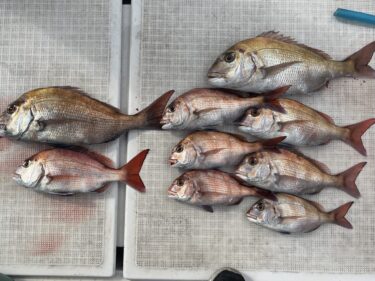 2026年　1月　出船予定表