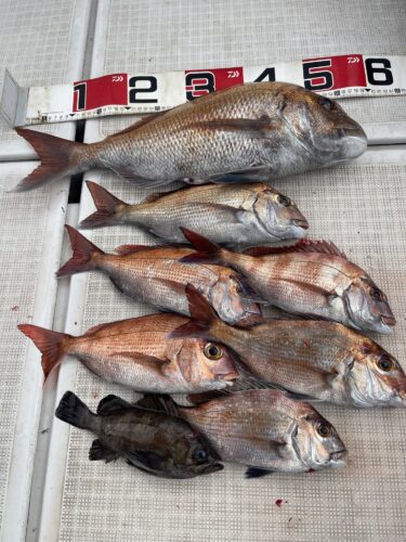 2026年　3月　出船予約予定表