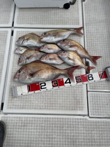 2026年6月　出船予定予約表